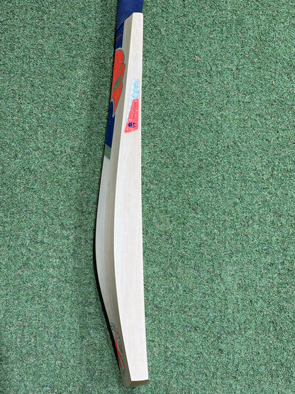 Phantom Illusion Custom Cricket Bat (2lb 9oz)