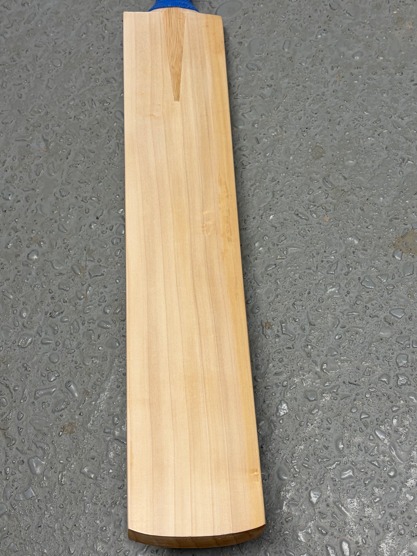 TCS Plain Grade 1 Short Blade Long Handle Cricket Bat (2lb 10oz)