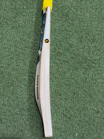 Used SF Custom Players Cricket Bat (2lb 10oz)