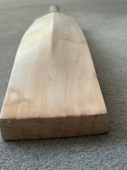 CA Plain Butterfly Cricket Bat (2lb 9oz)