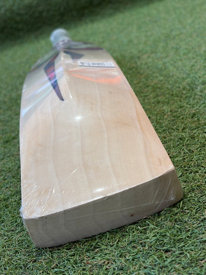 DSC Intense Attitude Cricket Bat (2lb 9oz)