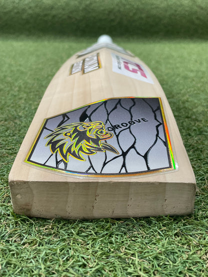 Used CG Platinum Edition Cricket Bat (2lb 11oz)