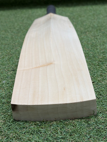 TCS Plain Grade 1+ Cricket Bat (2lb 9oz)