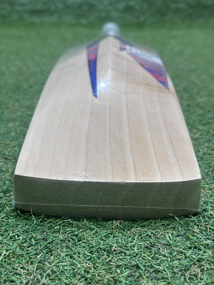 DSC Intense Rage Cricket Bat (2lb 9oz)