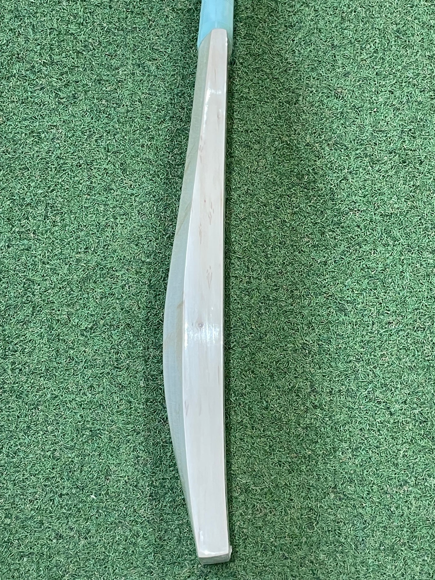 CA Plain Cricket Bat (2lb 11oz)