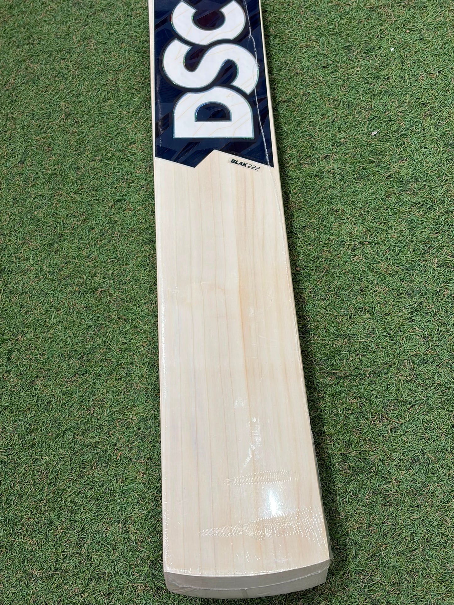 DSC Blak 222 Cricket Bat (2lb 9oz)