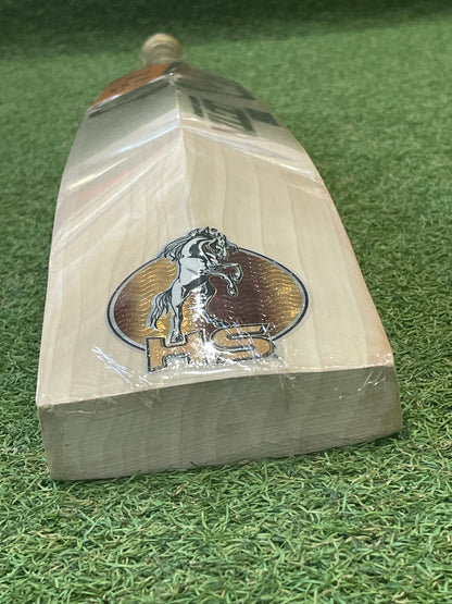 HS Core Octa Limited Edition Cricket Bat (2lb 10oz)