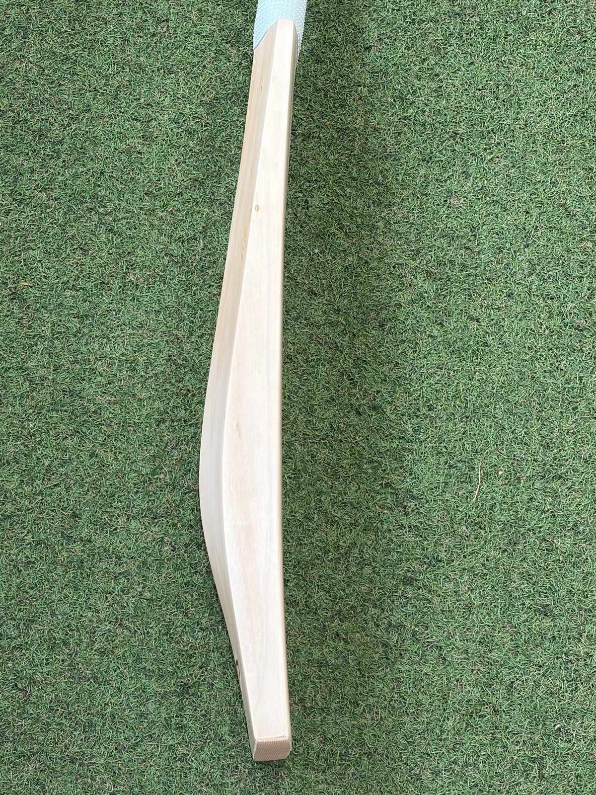 CP Plain Cricket Bat (2lb 10oz)