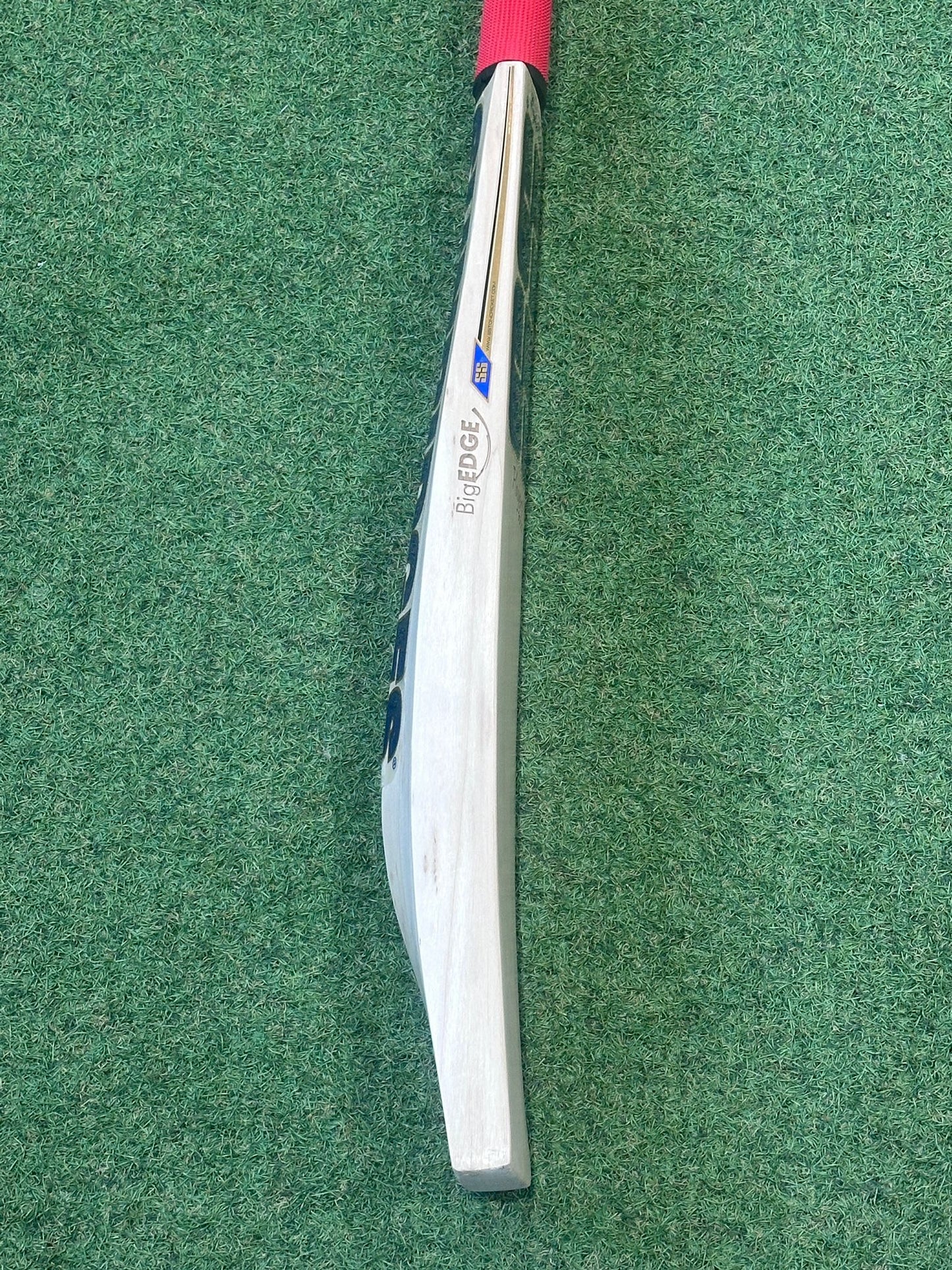 SS Players 3000 Cricket Bat (2lb 10oz)