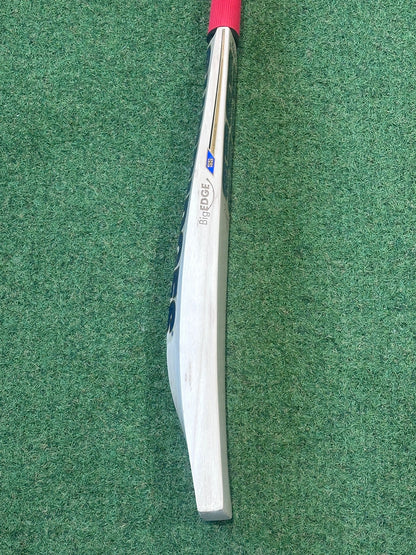 SS Players 3000 Cricket Bat (2lb 10oz)