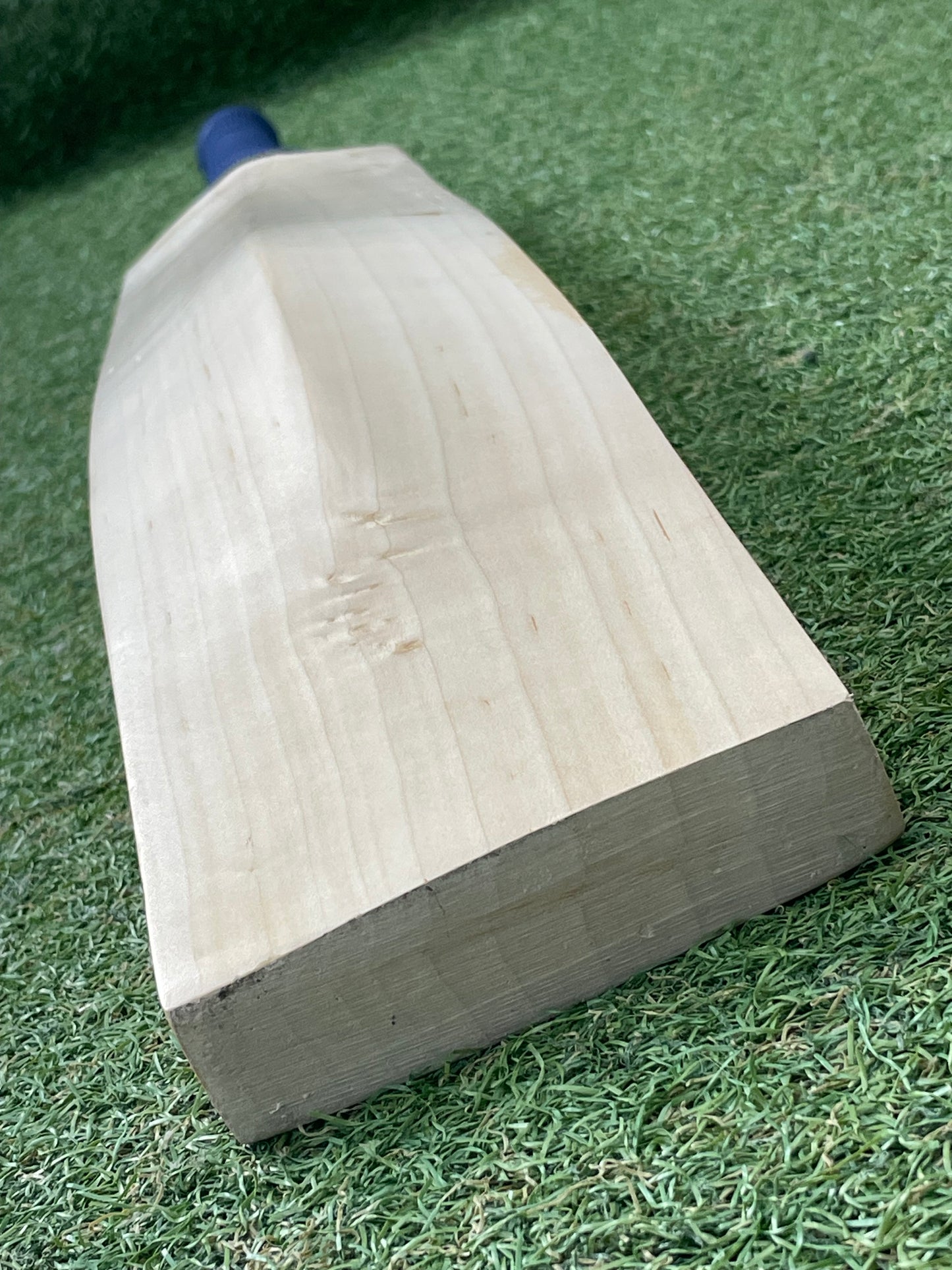 CA Plain Cricket Bat (2lb 9oz)