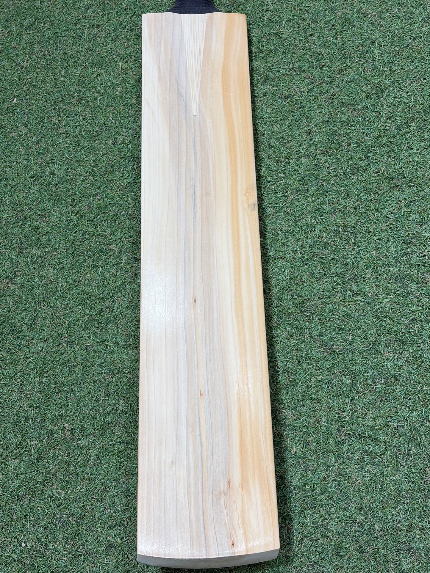 TCS Plain Grade 1 Blue Willow Cricket Bat (2lb 10oz)