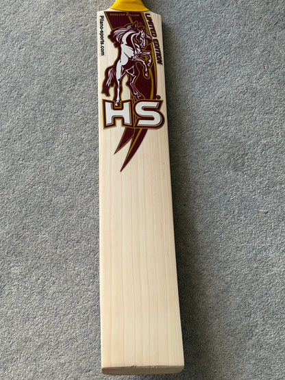 HS LE Cricket Bat (2lb 10oz)