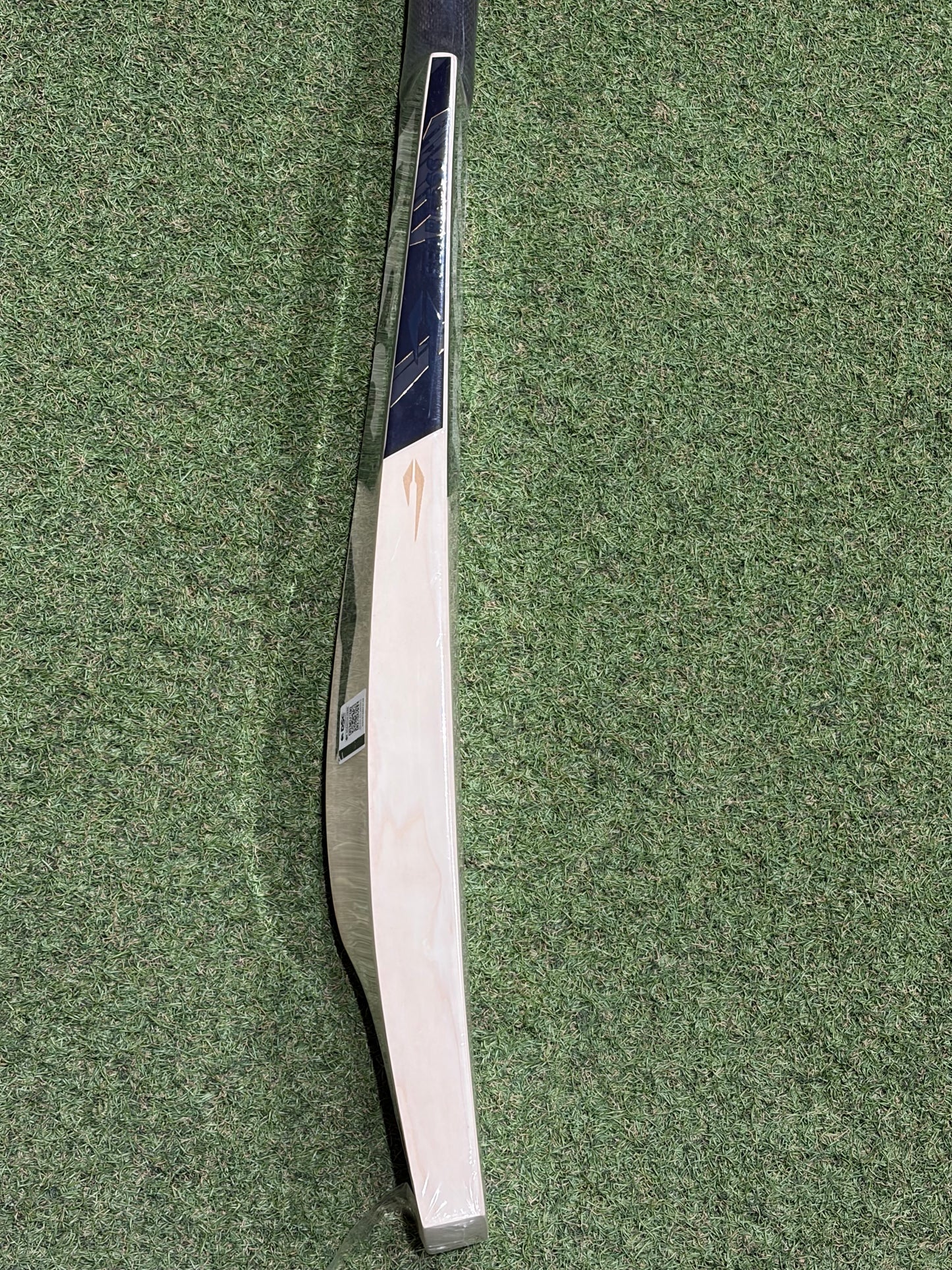 DSC Blak 500 Cricket Bat (2lb 8oz)