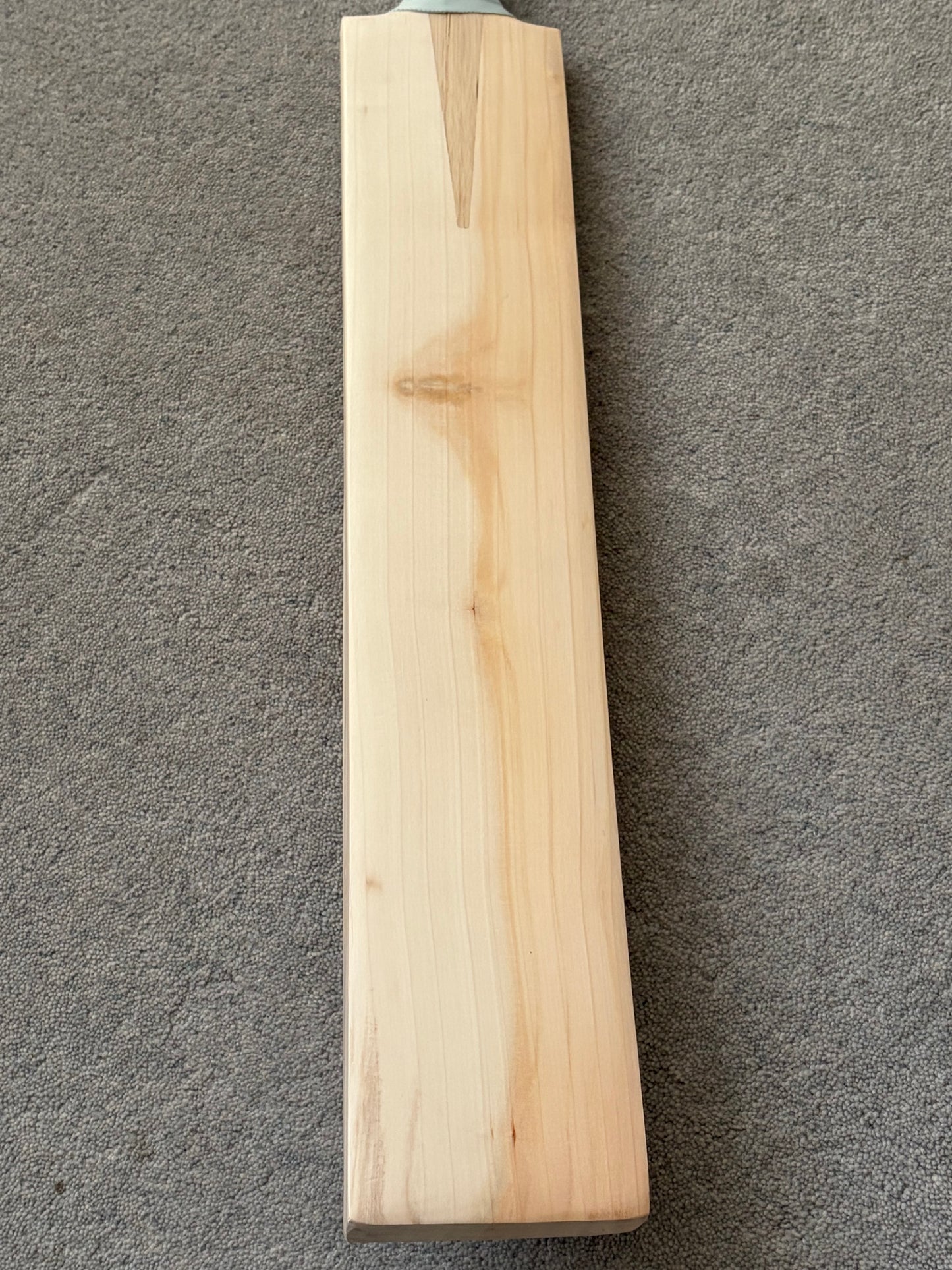 CA Plain Butterfly Cricket Bat (2lb 8oz)