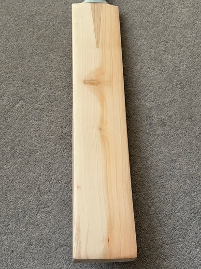CA Plain Butterfly Cricket Bat (2lb 8oz)