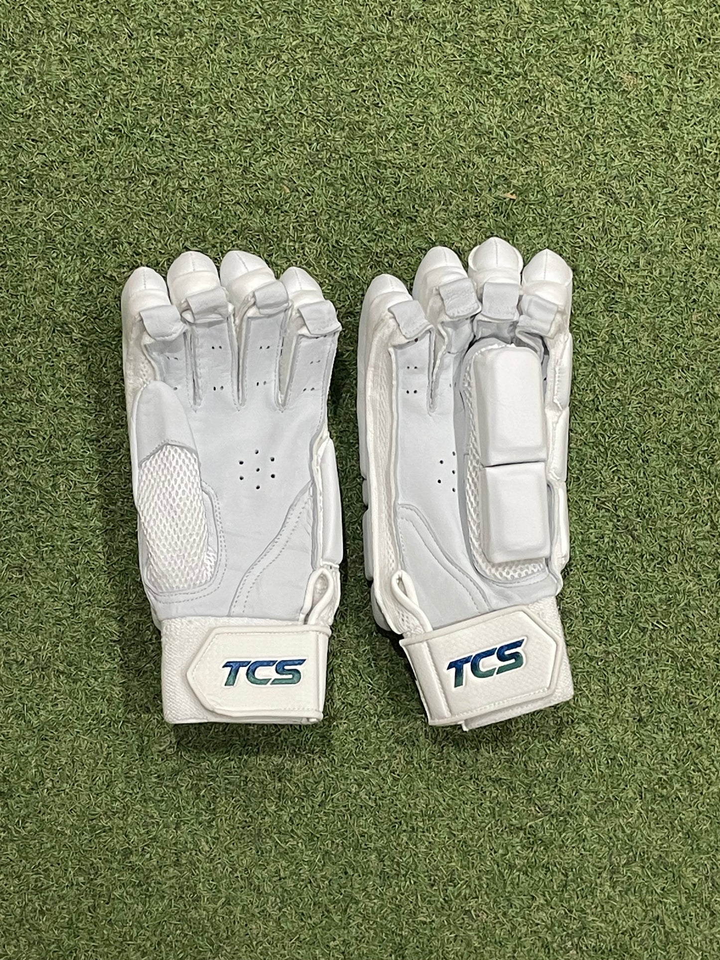 TCS Platinum Edition Batting Gloves