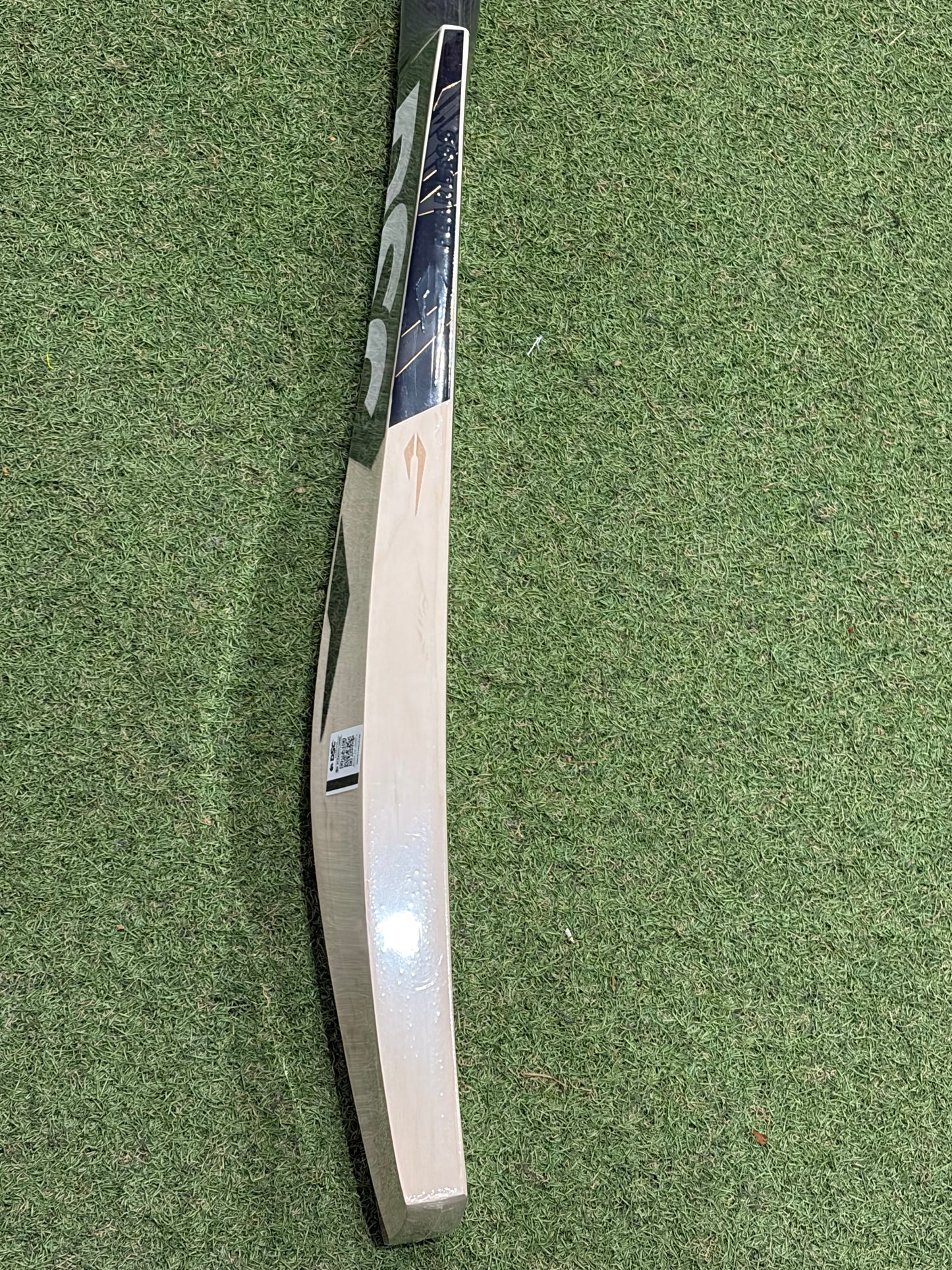 DSC Blak 300 Cricket Bat (2lb 8oz)