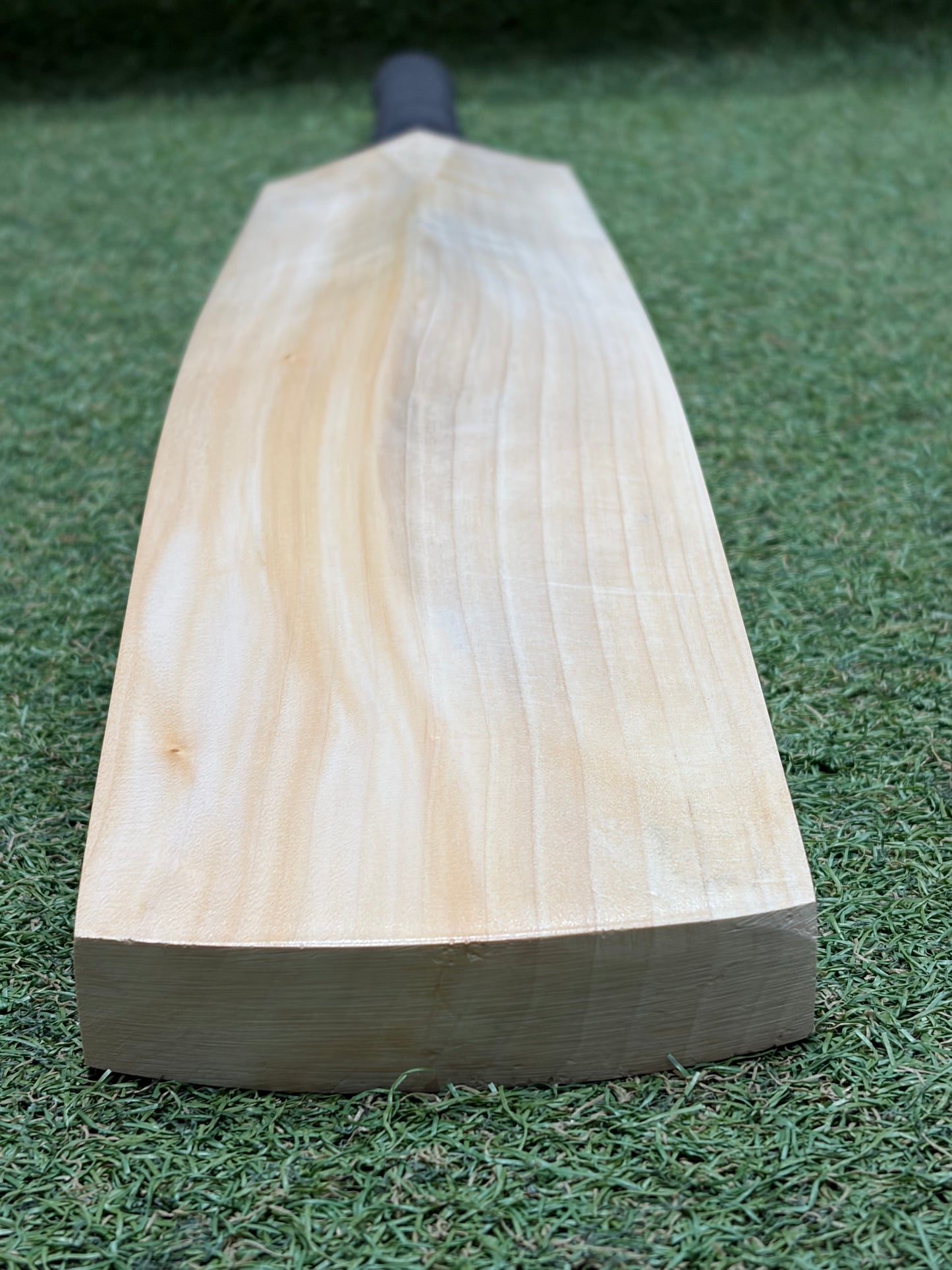 TCS Plain Grade 1 Blue Willow Cricket Bat (2lb 10oz)