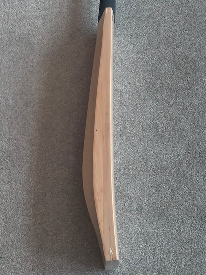 Plain Laminate Cricket Bat (2lb 9oz)