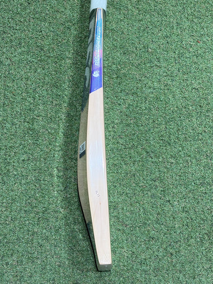 DSC Blu 222 Cricket Bat (2lb 10oz)