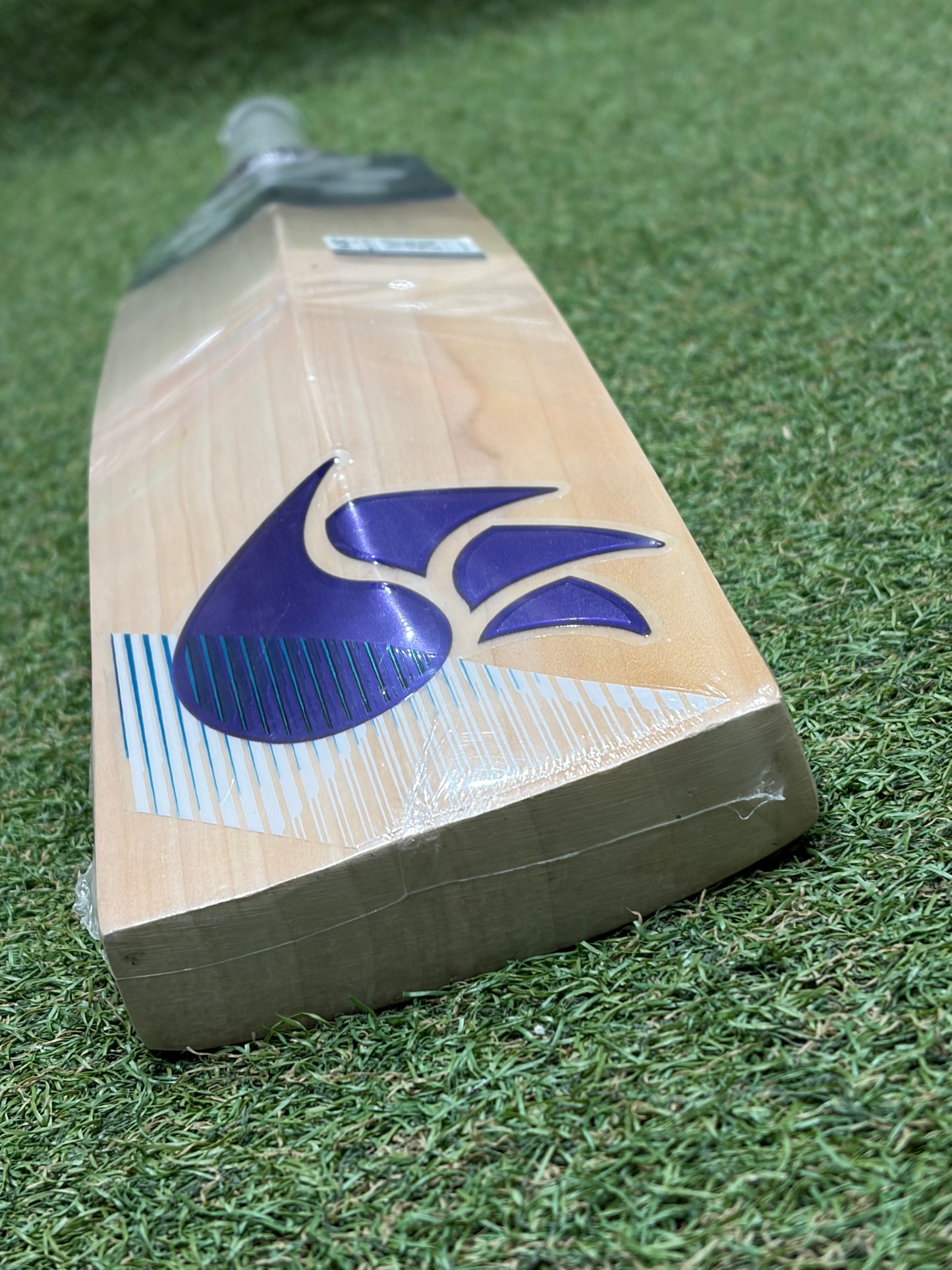 DSC Blu 222 Cricket Bat (2lb 10oz)