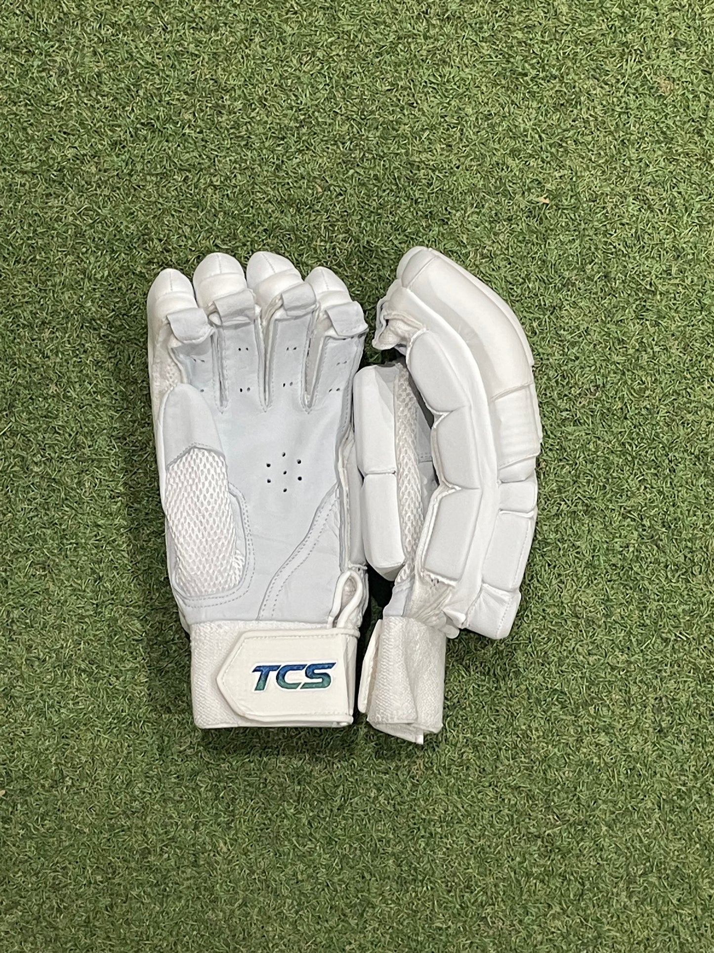 TCS Platinum Edition Batting Gloves