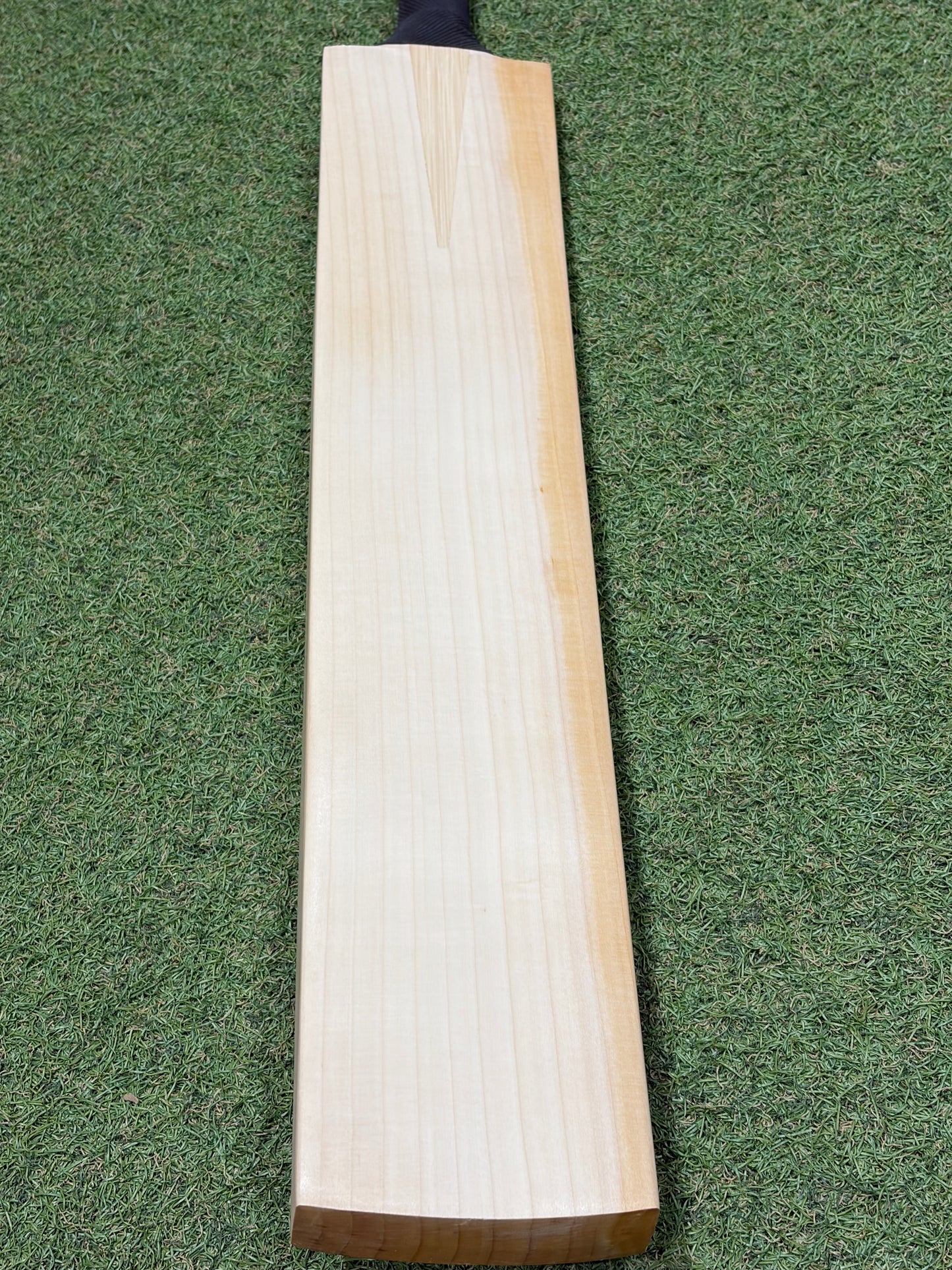 TCS Plain Grade 1+ Cricket Bat (2lb 10oz)