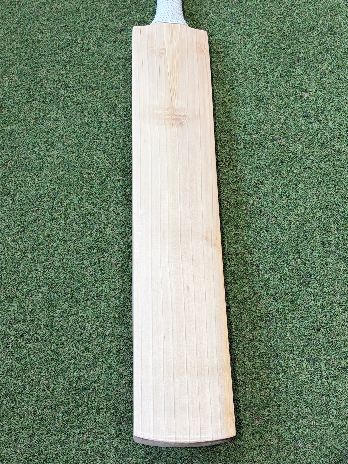 TCS Plain Grade 1 Cricket Bat (2lb 10oz)