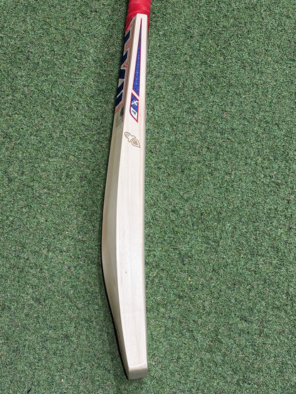 Hell 4 Leather (H4L) Pro Grade Cricket Bat (2lb 11oz)