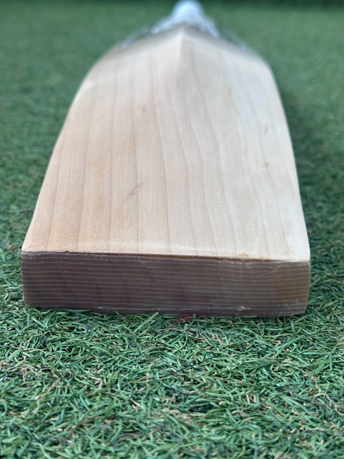 TCS White Custom Cricket Bat (2lb 9oz)